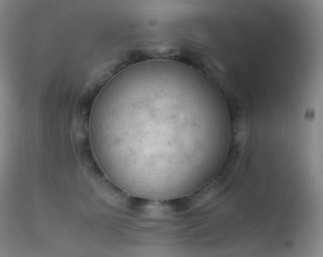 X0000111150515200906301340