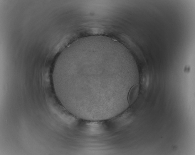 X0000111150516200906301340