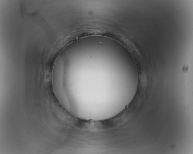 X0000111150517200906301340