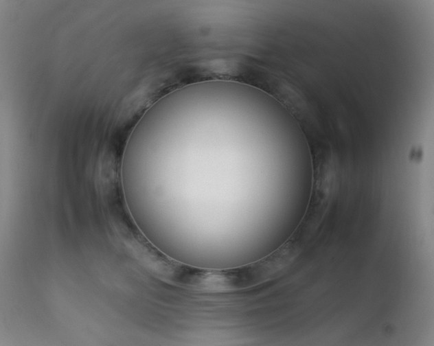 X0000111150518200906301340