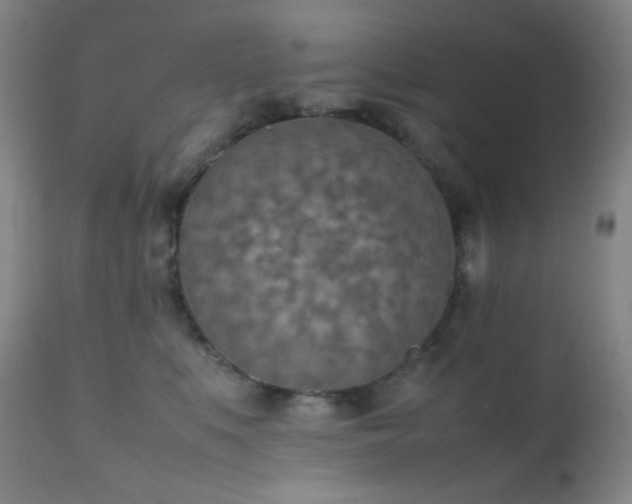 X0000111150519200906301340