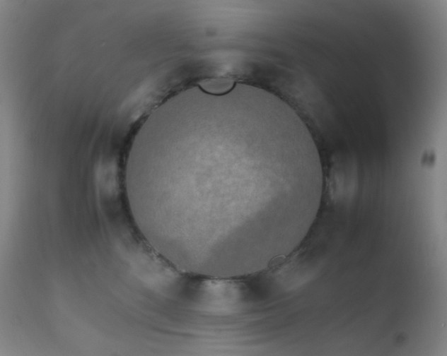 X0000111150520200906301340