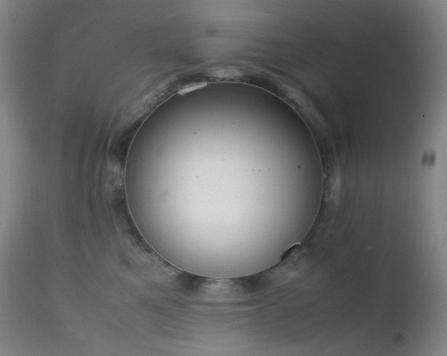 X0000111150521200906301340