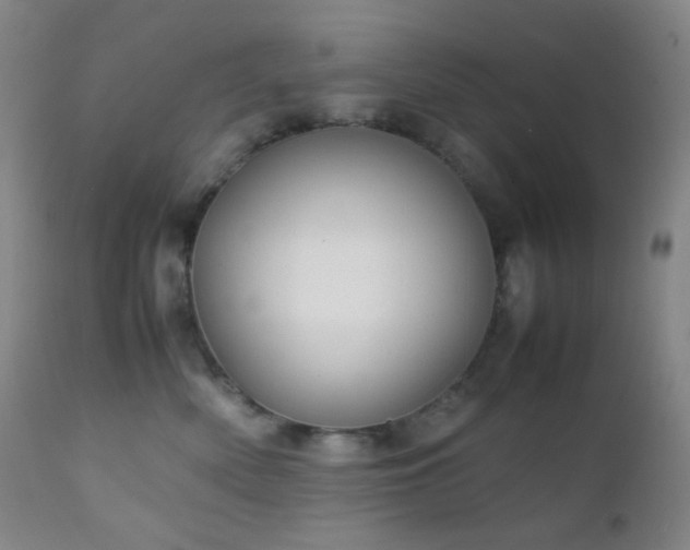 X0000111150522200906301340