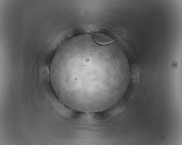 X0000111150523200906301340