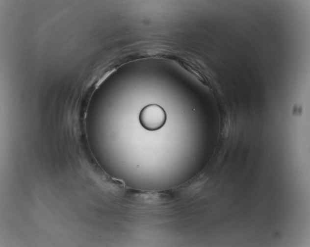 X0000111150524200906301340