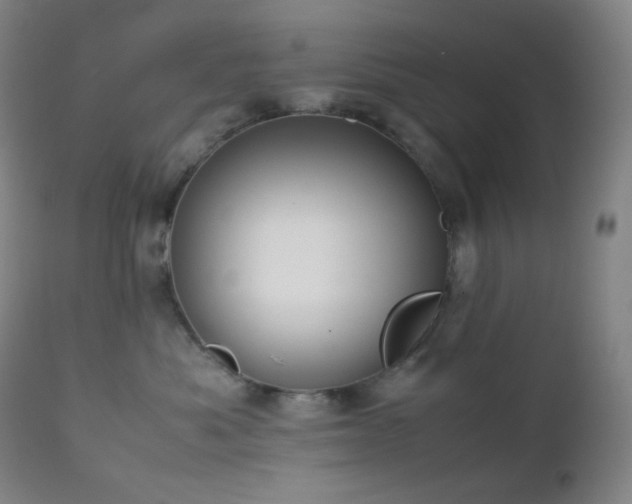 X0000111150525200906301340