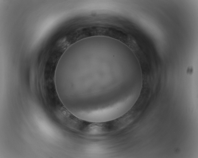 X0000111150526200906301340