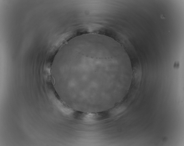 X0000111150527200906301340