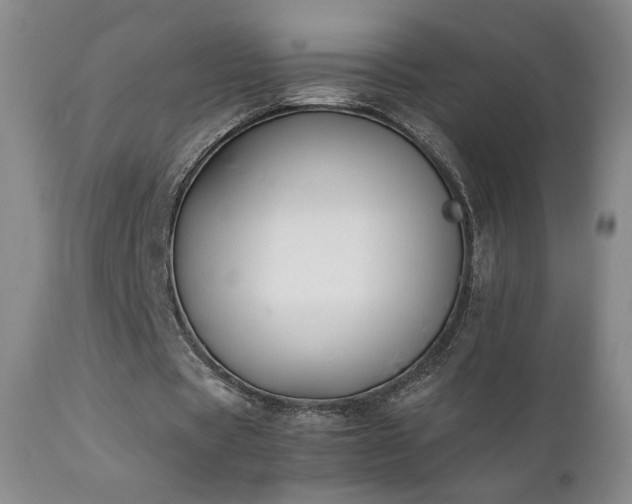 X0000111150529200906301339