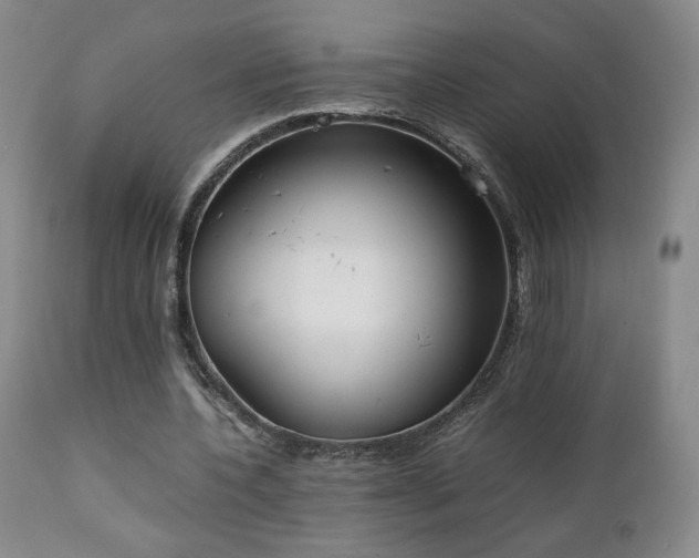 X0000111150532200906301339