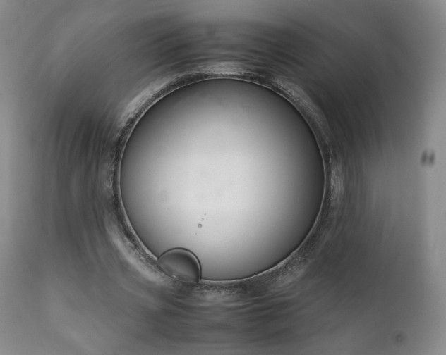 X0000111150533200906301339