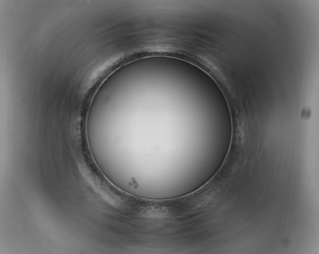 X0000111150535200906301339