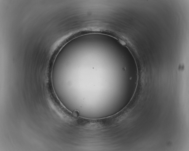 X0000111150536200906301339