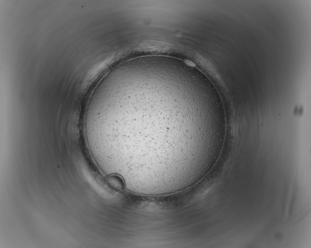 X0000111150538200906301339