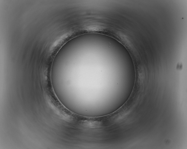 X0000111150539200906301339