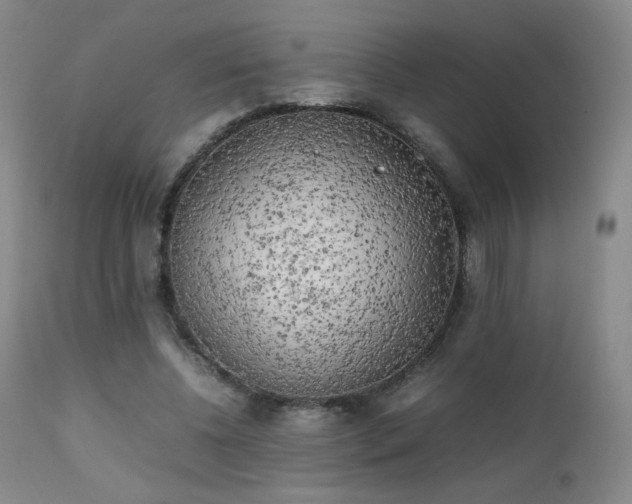 X0000111150540200906301339