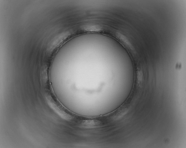 X0000111150541200906301339