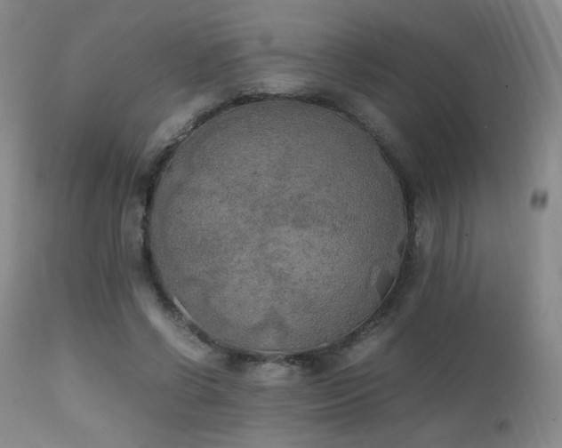 X0000111150542200906301339