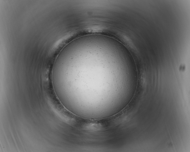 X0000111150543200906301339