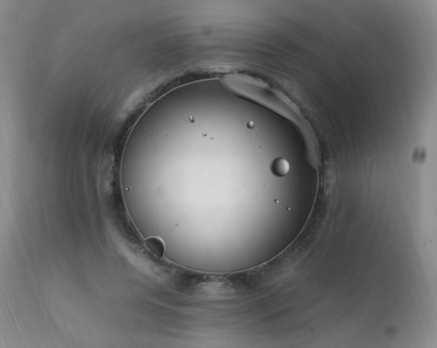 X0000111150544200906301339