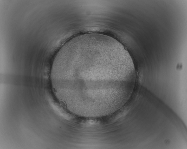 X0000111150546200906301339