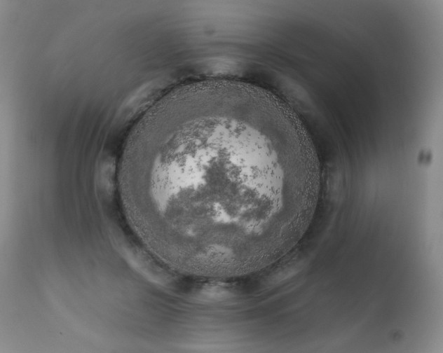X0000111150550200906301339