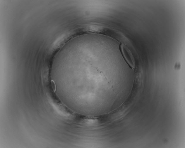 X0000111150552200906301339