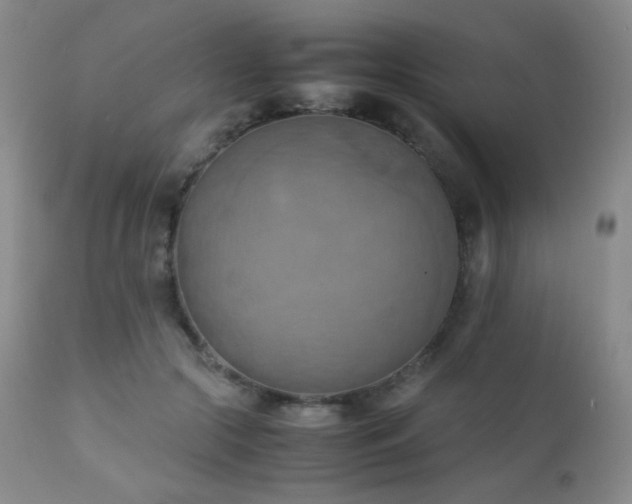 X0000111150553200906301339