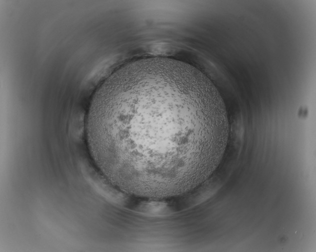 X0000111150554200906301339