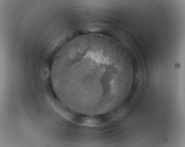 X0000111150555200906301339