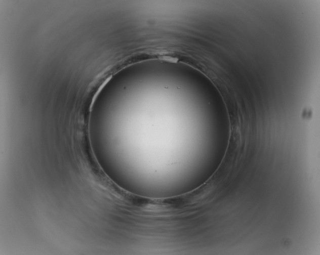 X0000111150556200906301339