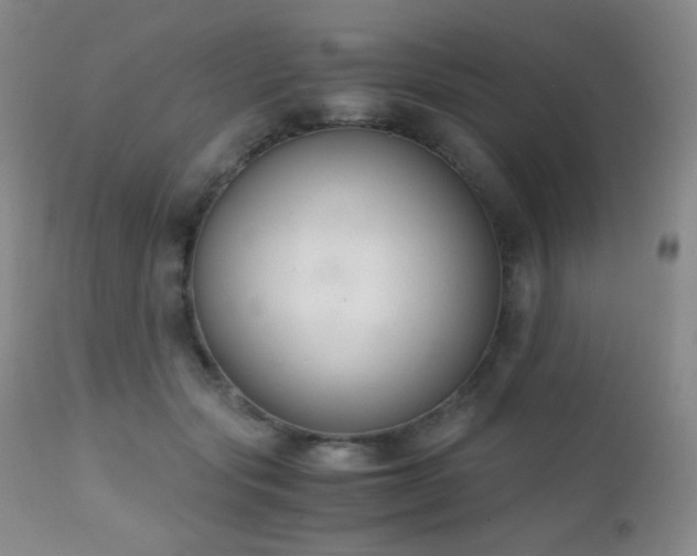 X0000111150557200906301339