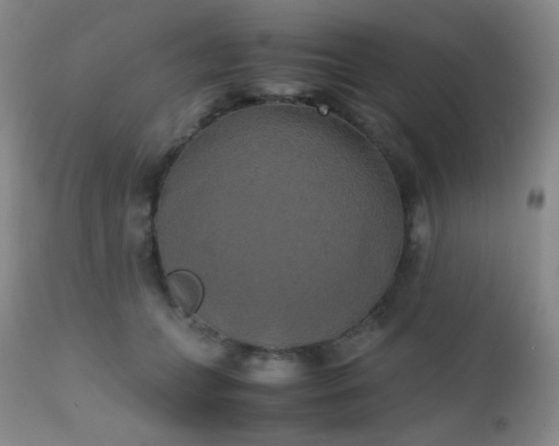 X0000111150559200906301340