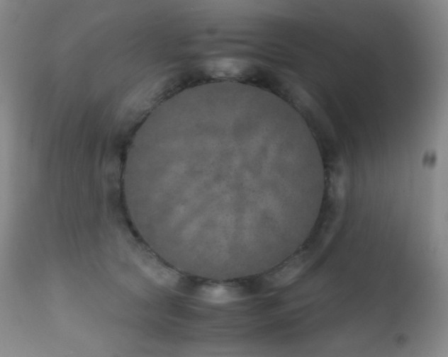 X0000111150561200906301340