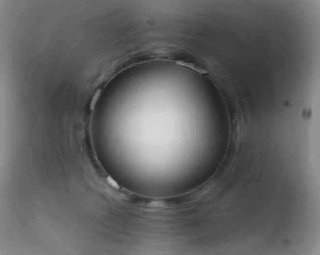 X0000111150562200906301340