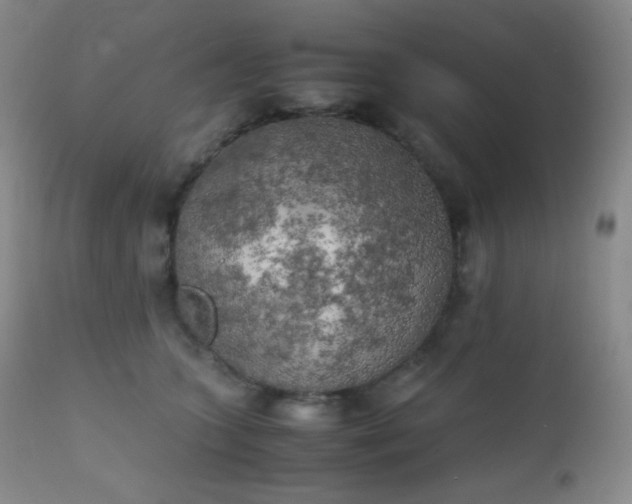 X0000111150563200906301340