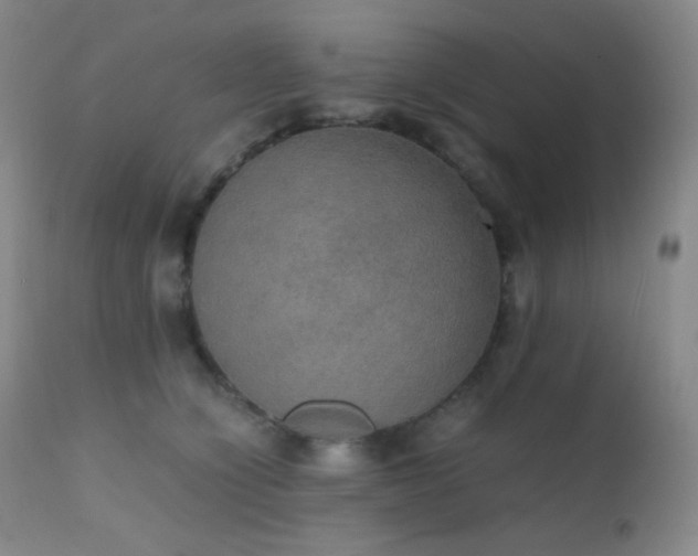 X0000111150564200906301340