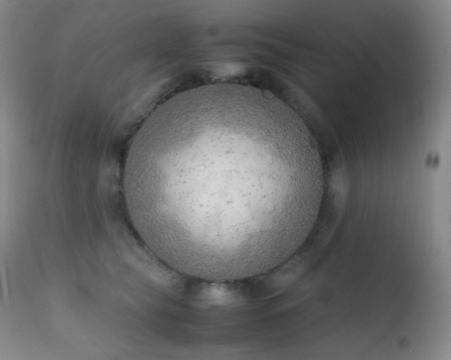 X0000111150565200906301340