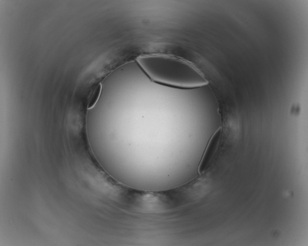 X0000111150566200906301340