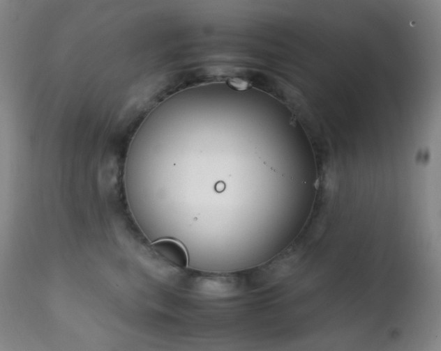 X0000111150567200906301340