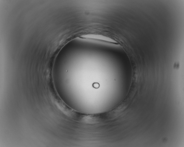 X0000111150568200906301340