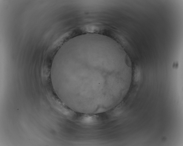X0000111150569200906301340