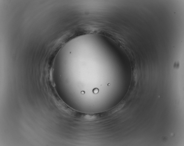 X0000111150570200906301340