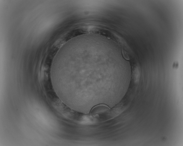 X0000111150571200906301340