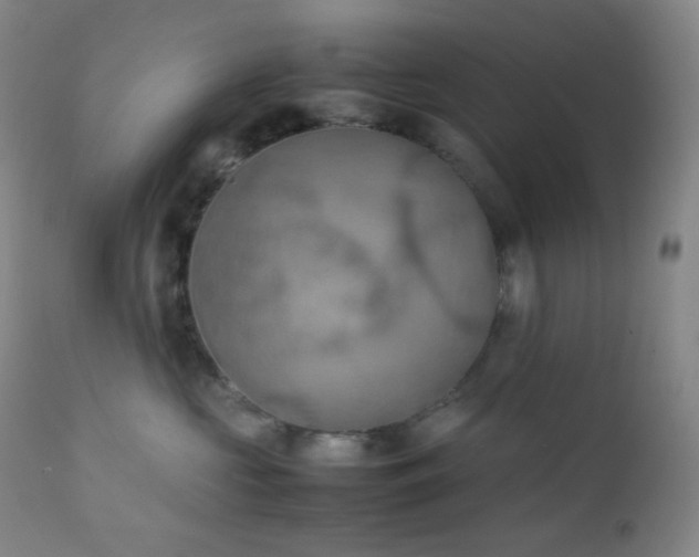X0000111150573200906301340