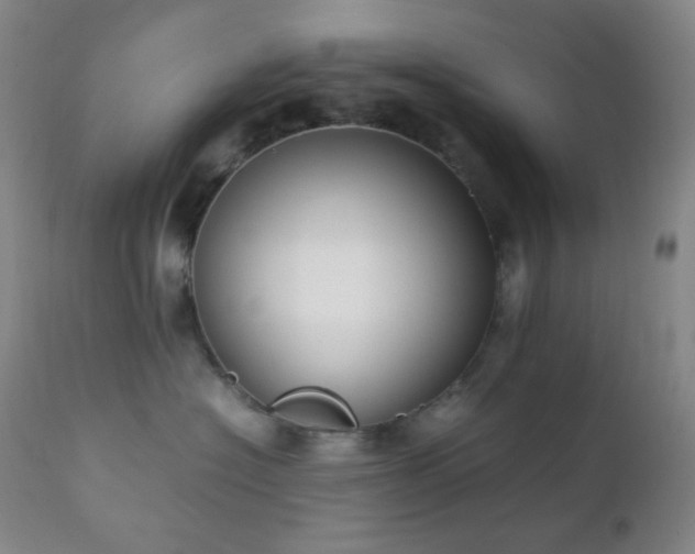 X0000111150574200906301340
