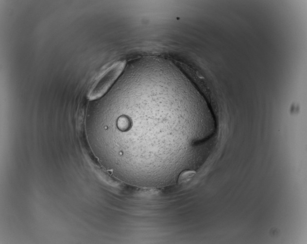 X0000111150576200906301340