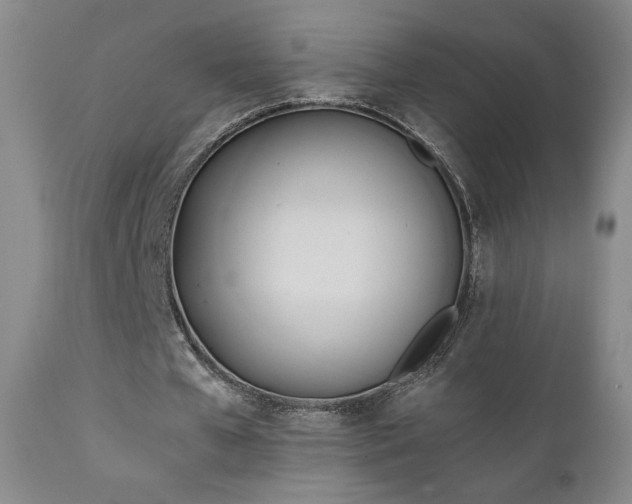 X0000111150577200906301339