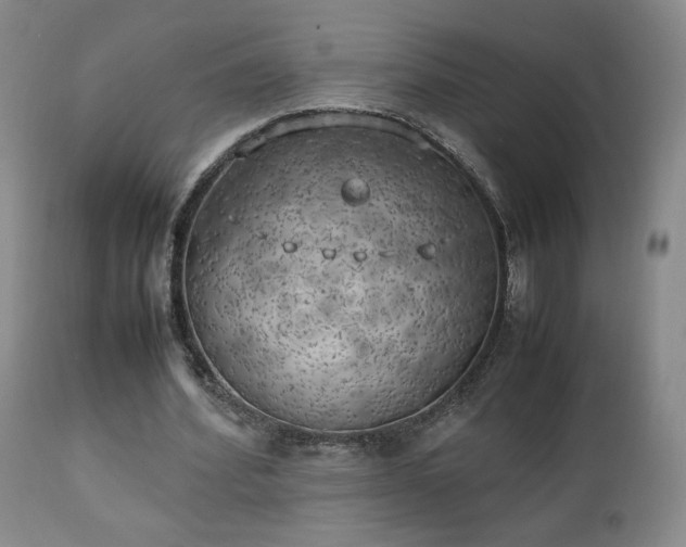 X0000111150580200906301339